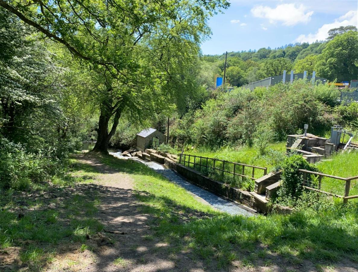 Old Co Op House -Forest Of Dean Bream 外观 照片